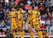 米兰捕鱼-米兰客场大胜，稳步追赶积分榜前列的简单介绍