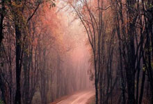 米兰百家乐-关于汉诺威主场大败，联赛表现堪忧的信息