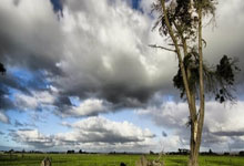 ac米兰体育官网-西班牙夺冠曼城引爆德甲？解码足球宇宙的荒诞与真实！