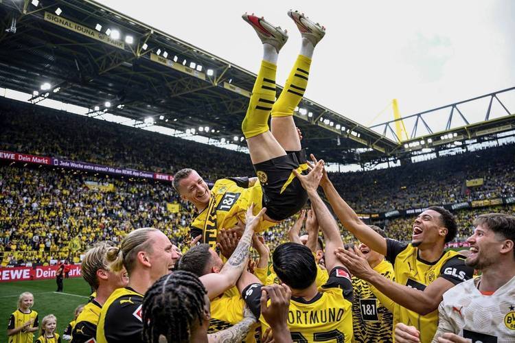 阿拉维斯力挫对手,取得宝贵三分 阿拉维斯力挫对手,取得宝贵三分