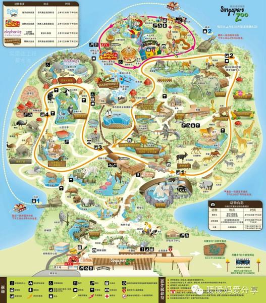 新加坡防线卵圆,促攻损失显粗 新加坡防线卵圆,促攻损失显粗